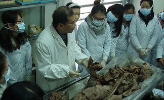 2010 간호과 해외 현장..