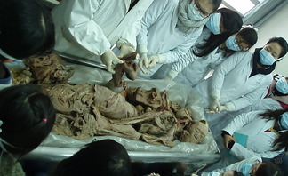 2010 간호과 해외 현장..