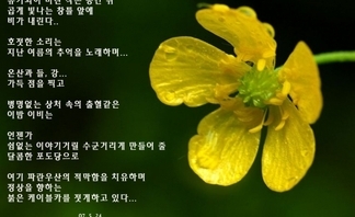 사용자 등록 이미지