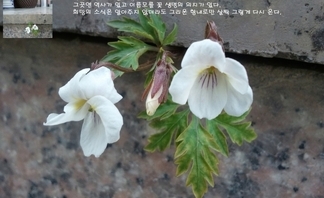 사용자 등록 이미지