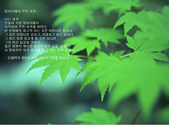 사용자 등록 이미지