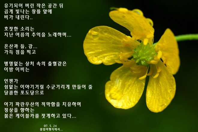 사용자 등록 이미지