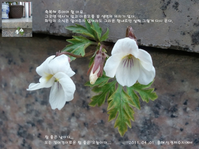 사용자 등록 이미지
