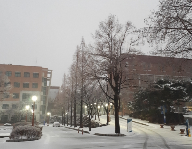 사용자 등록 이미지