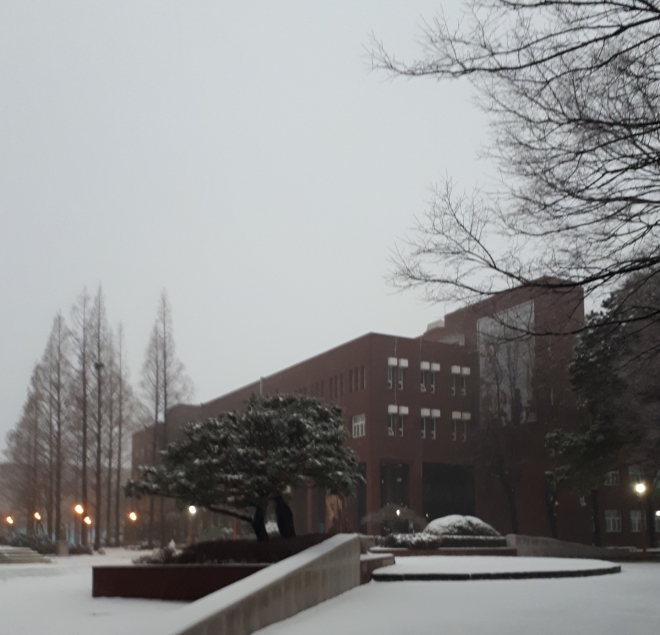 사용자 등록 이미지