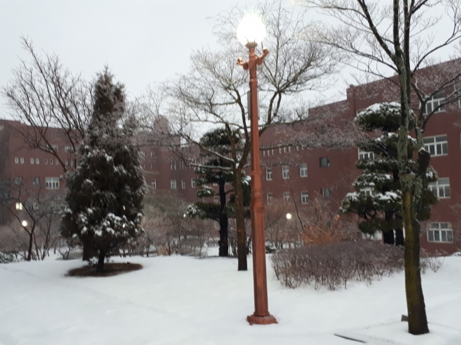 사용자 등록 이미지