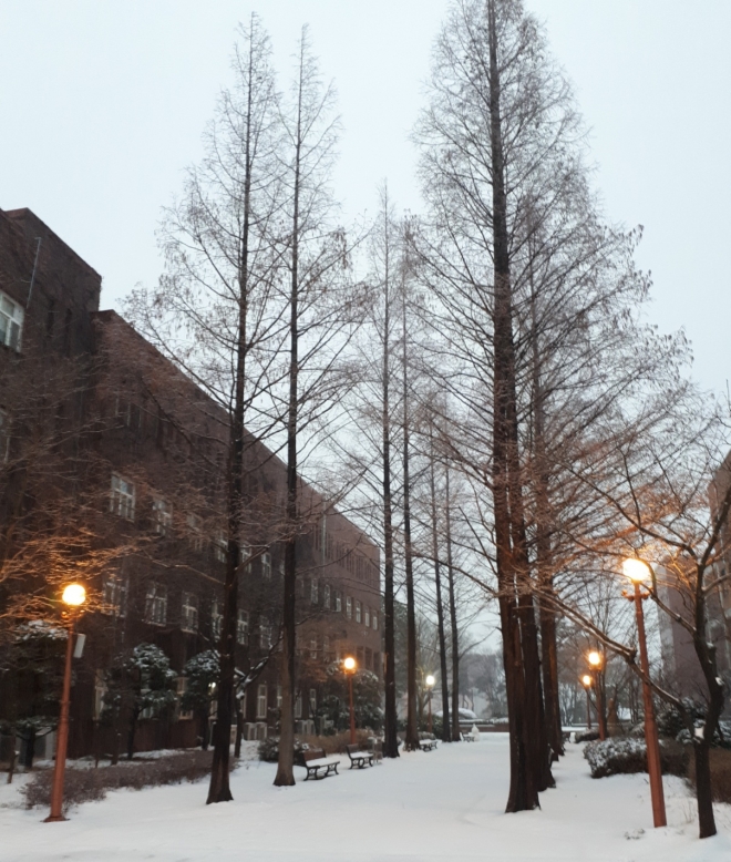 사용자 등록 이미지