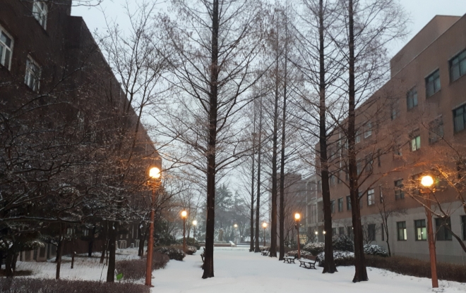 사용자 등록 이미지