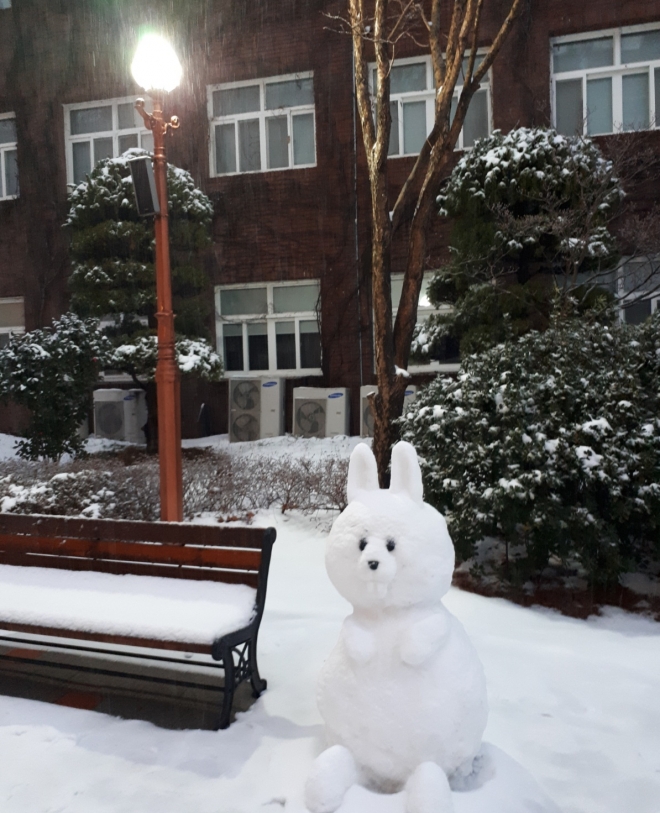 사용자 등록 이미지