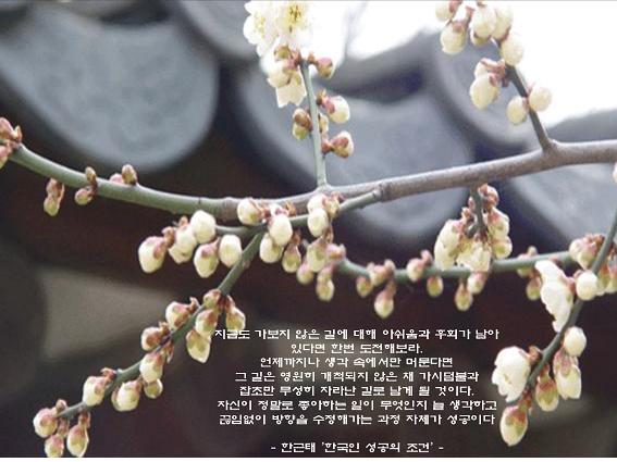 사용자 등록 이미지