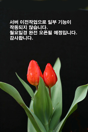 사용자 등록 이미지